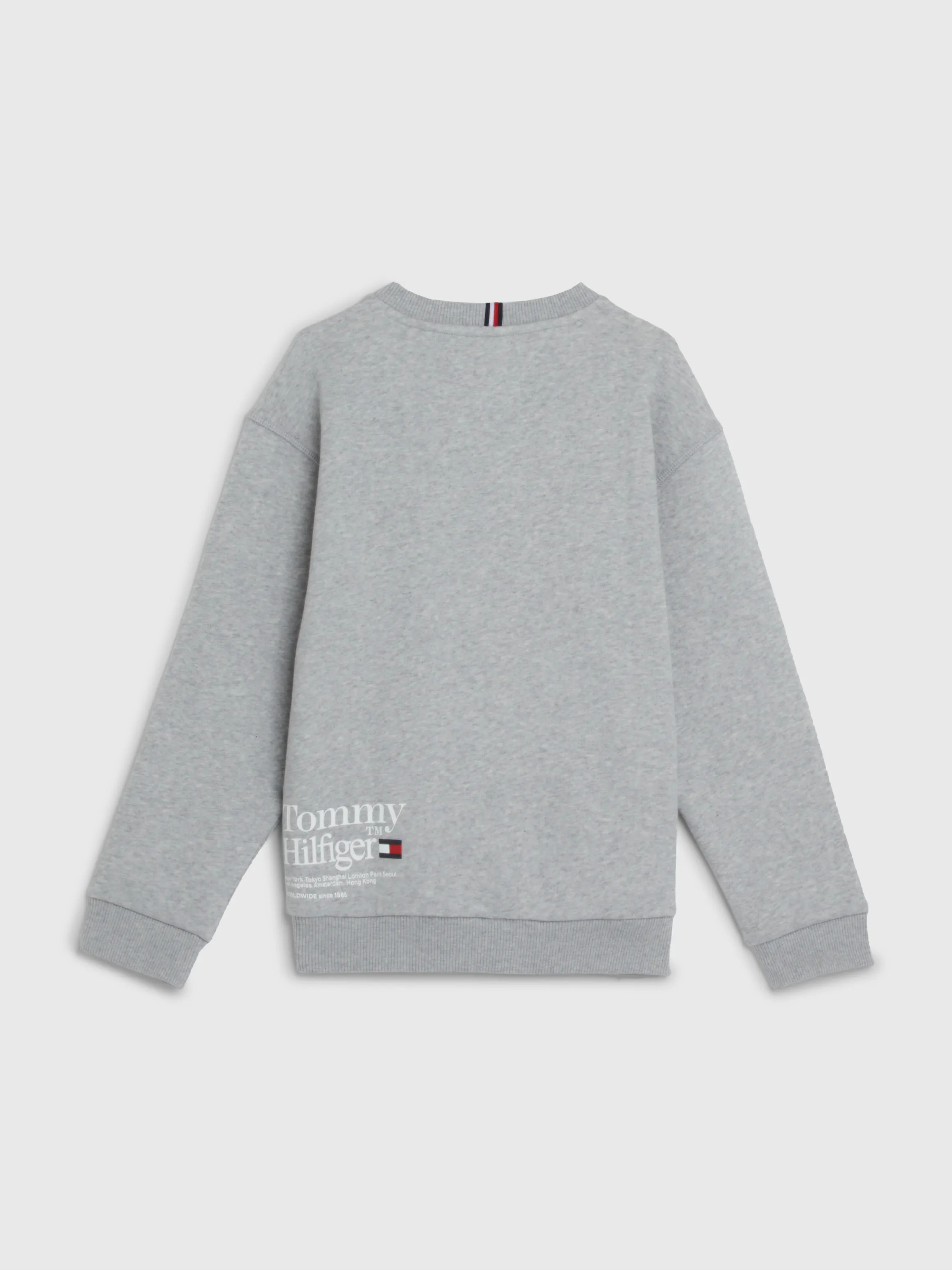 Boys 8-16 Terry Logo Sweatshirt | Sweatshirts & Hoodies | Tommy Kids