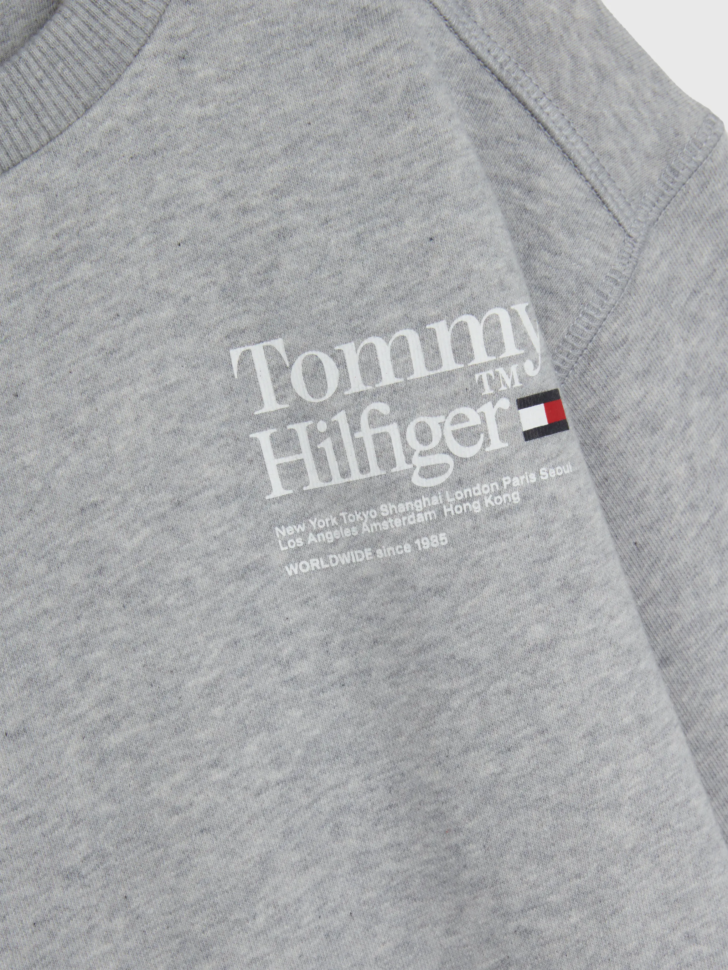 Boys 8-16 Terry Logo Sweatshirt | Sweatshirts & Hoodies | Tommy Kids