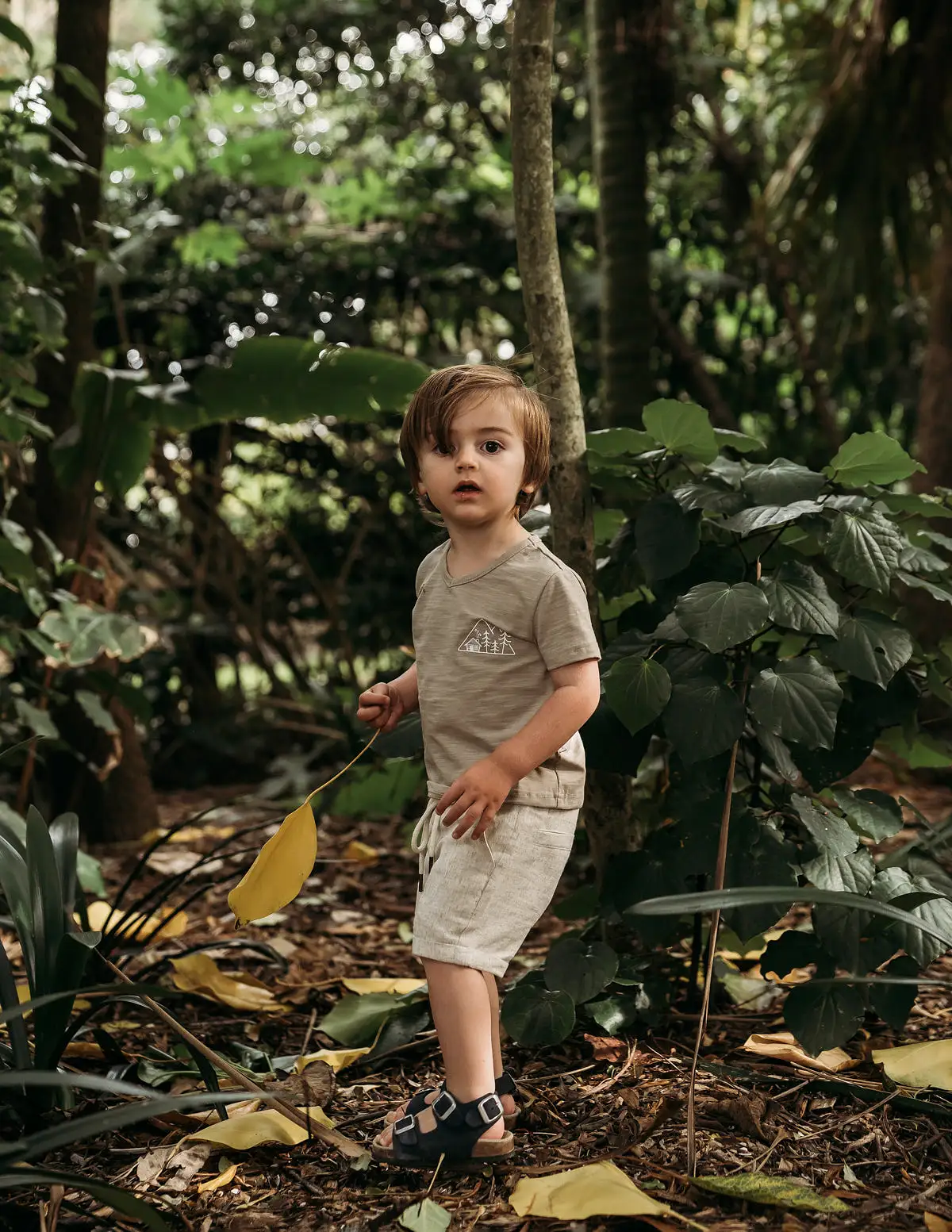 Ollie Boys Shorts - Sand Dune