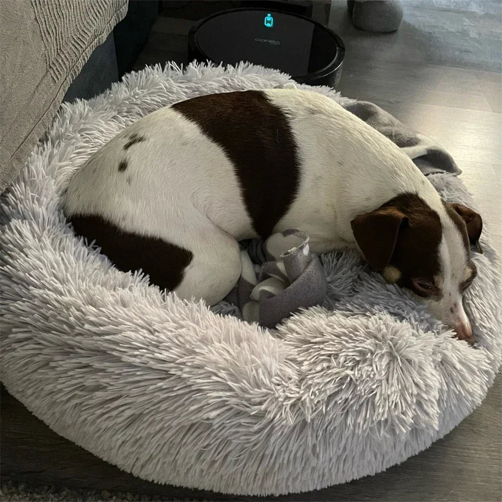 Super Soft Dog Bed Plush Cat Mat Dog Beds For Large Dogs Bed Labradors House Round Cushion Pet Product Accessories